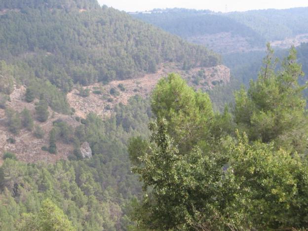 Спортивно-фото экскурсия в Иудейских горах