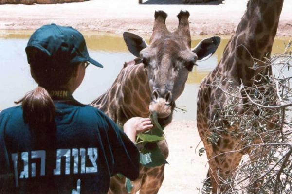 Библейский зоопарк 2